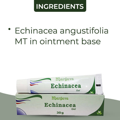 Echinacea Gel